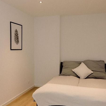 130M² Apartment Im Zentrum + Terrasse ライプツィヒ エクステリア 写真